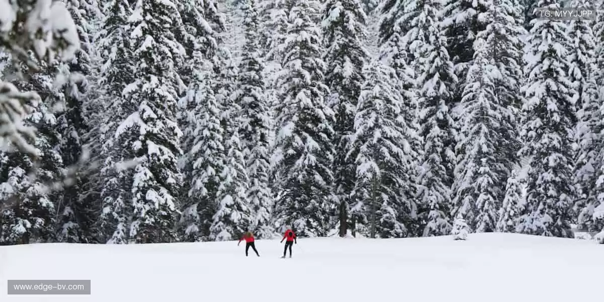 🚀即刻出发，加入全球体育爱好者的狂欢派对！🎉